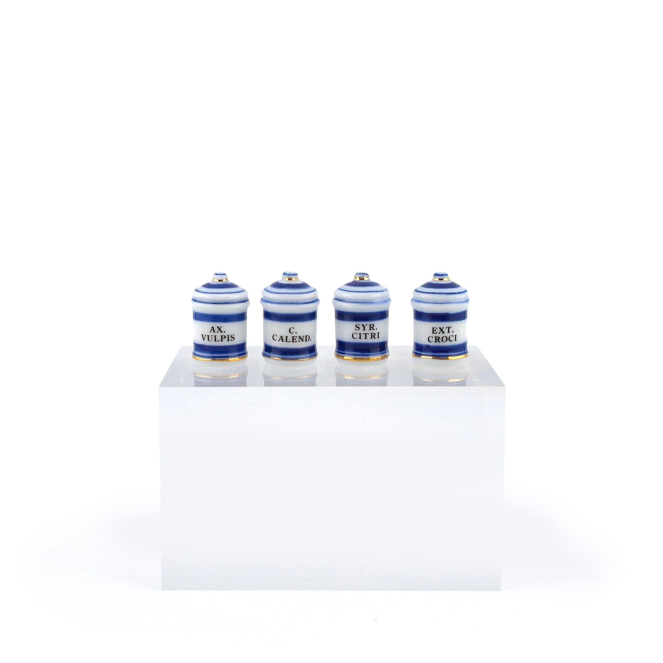 Mini Mundus Blue & White Porcelain Apothecary Jars Set of 4 Style C Group 3