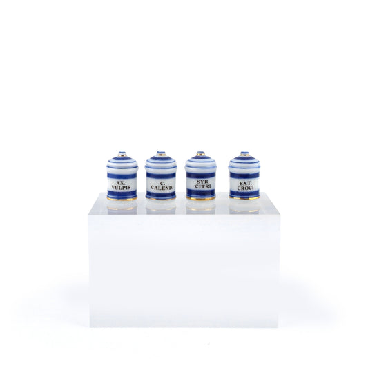 Mini Mundus Blue & White Porcelain Apothecary Jars Set of 4 Style C Group 3