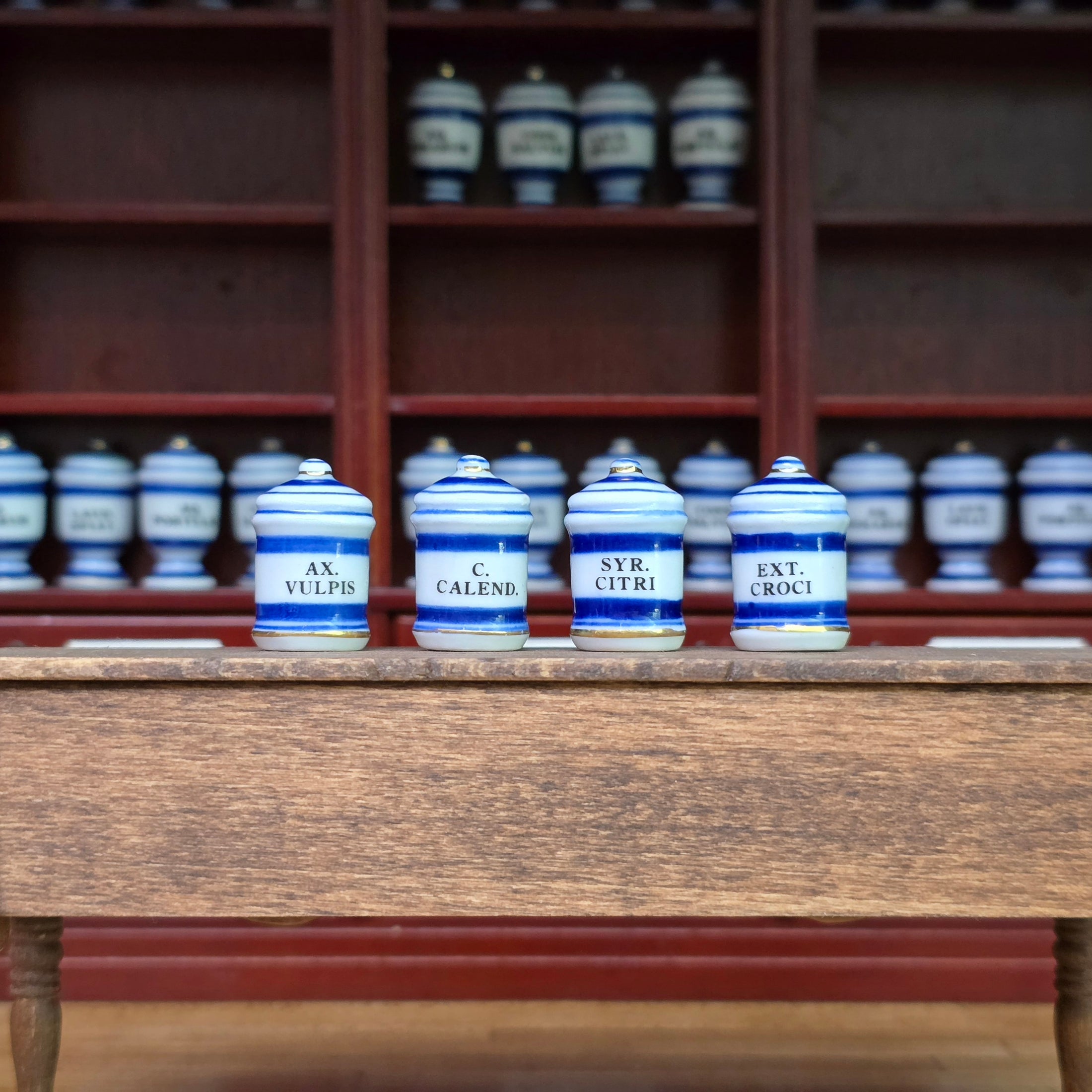Mini Mundus Blue & White Porcelain Apothecary Jars Set of 4 Style C Group 3