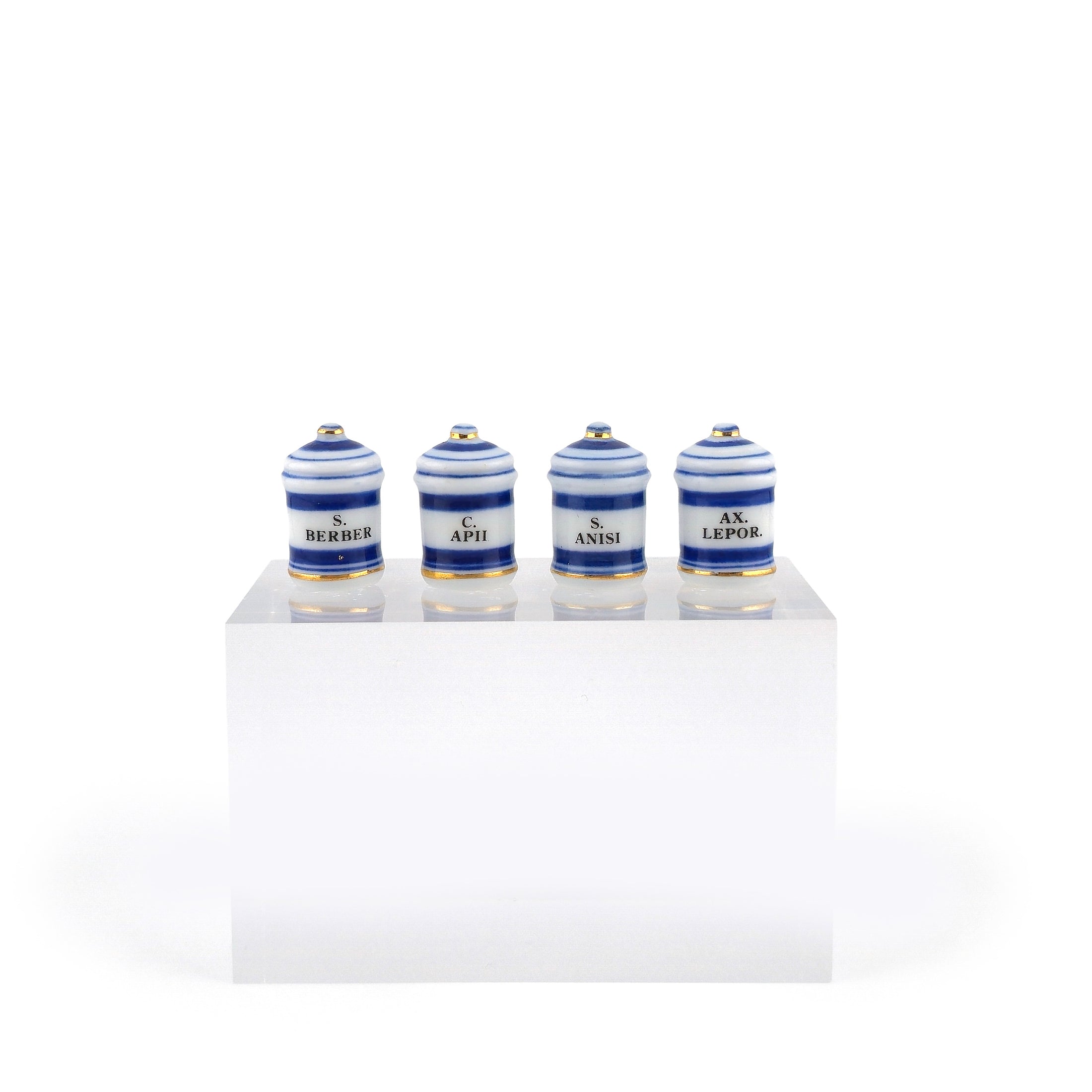 Mini Mundus Blue & White Porcelain Apothecary Jars Set of 4 Style C Group 4