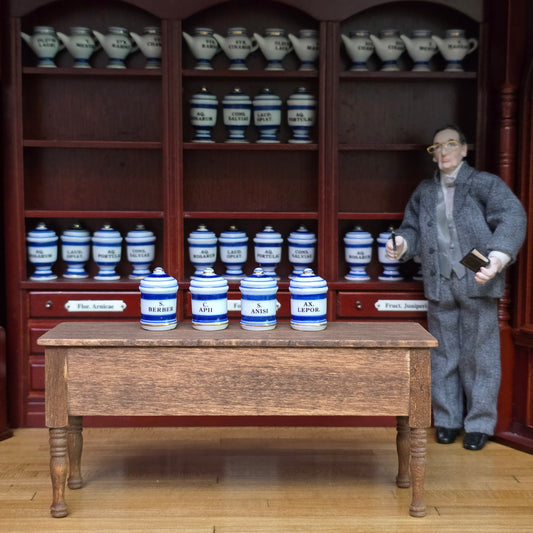 Mini Mundus Blue & White Porcelain Apothecary Jars Set of 4 Style C Group 4