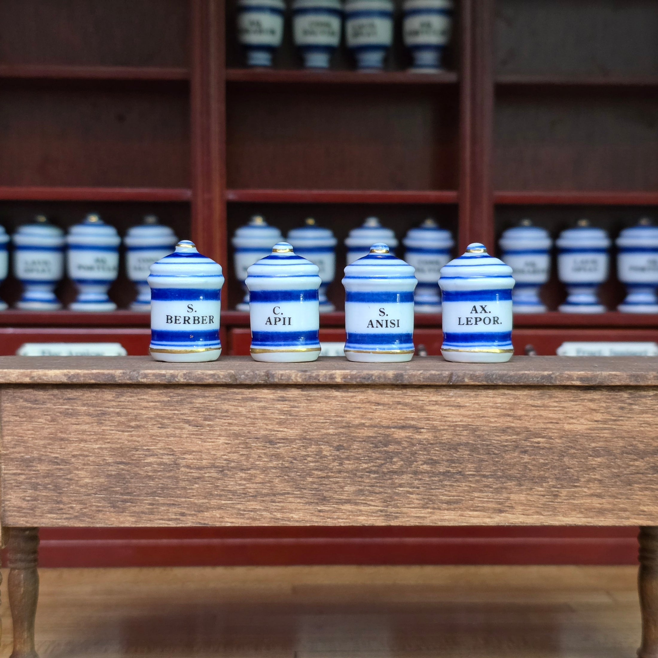 Mini Mundus Blue & White Porcelain Apothecary Jars Set of 4 Style C Group 4