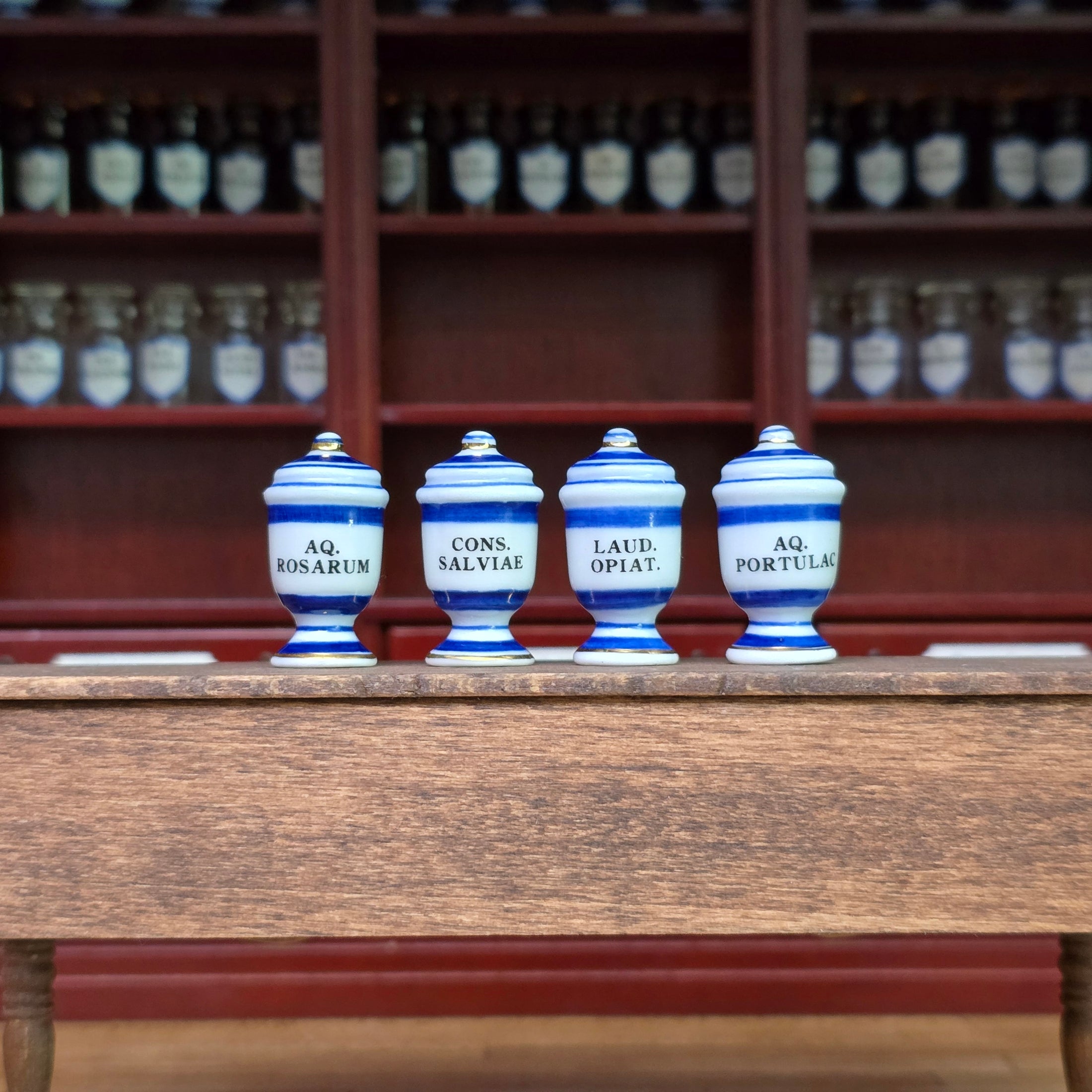 Mini Mundus Blue & White Porcelain Apothecary Jars Set of 4 Style D Group 1