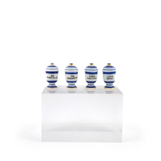 Mini Mundus Blue & White Porcelain Apothecary Jars Set of 4 Style D Group 3