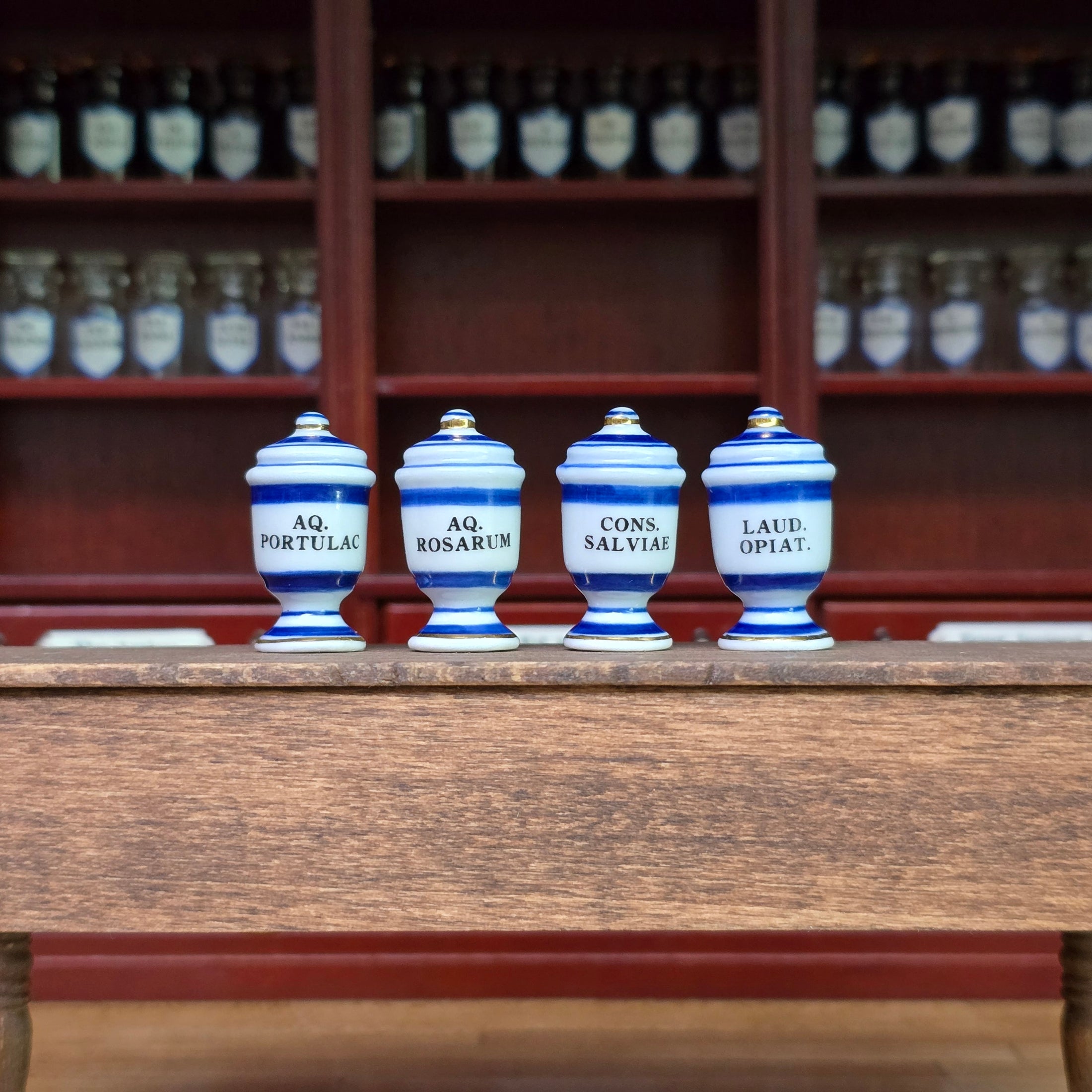 Mini Mundus Blue & White Porcelain Apothecary Jars Set of 4 Style D Group 3