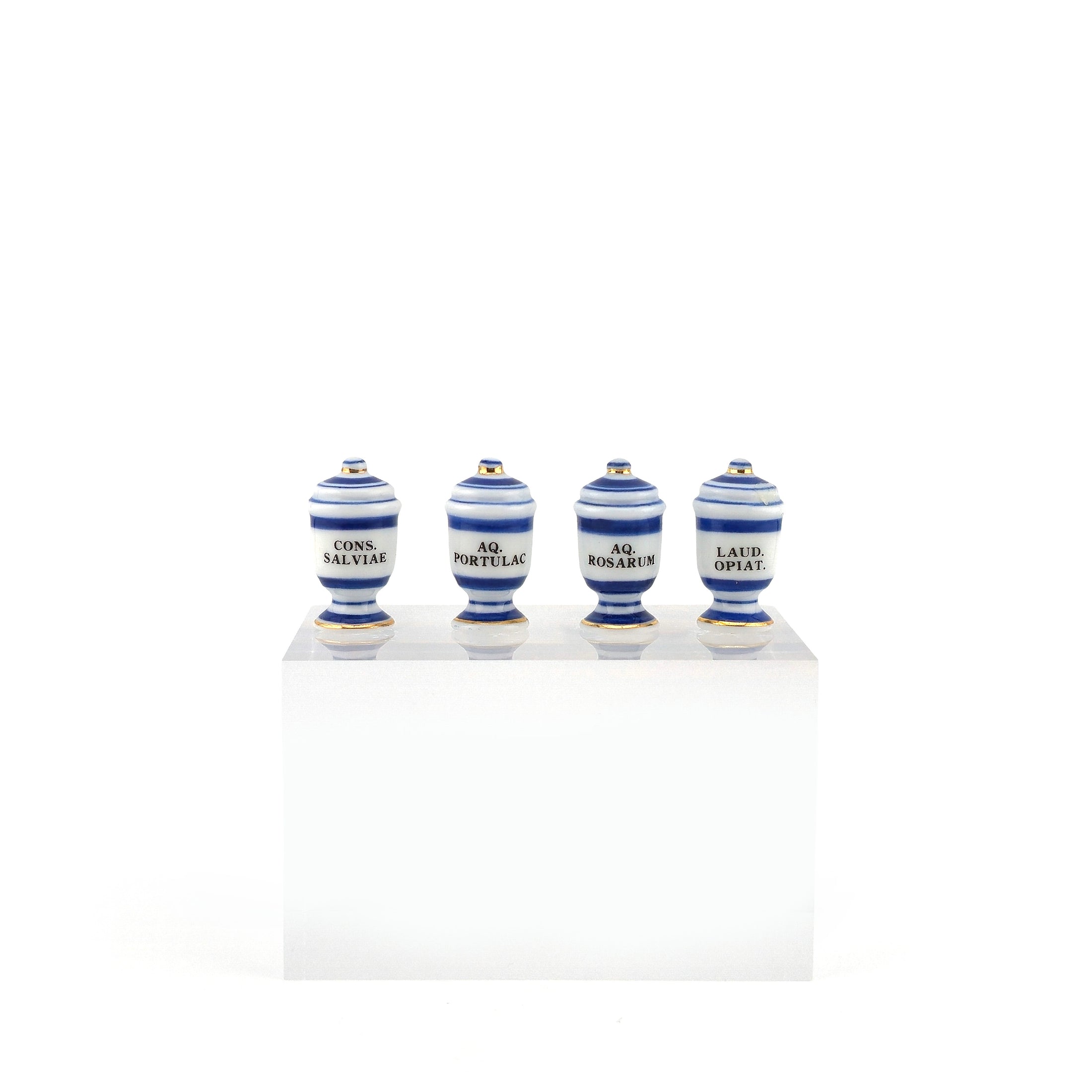 Mini Mundus Blue & White Porcelain Apothecary Jars Set of 4 Style D Group 4