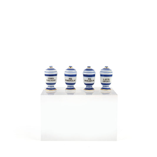 Mini Mundus Blue & White Porcelain Apothecary Jars Set of 4 Style D Group 4