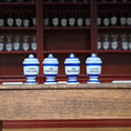 Load image into Gallery viewer, Mini Mundus Blue & White Porcelain Apothecary Jars Set of 4 Style D Group 4
