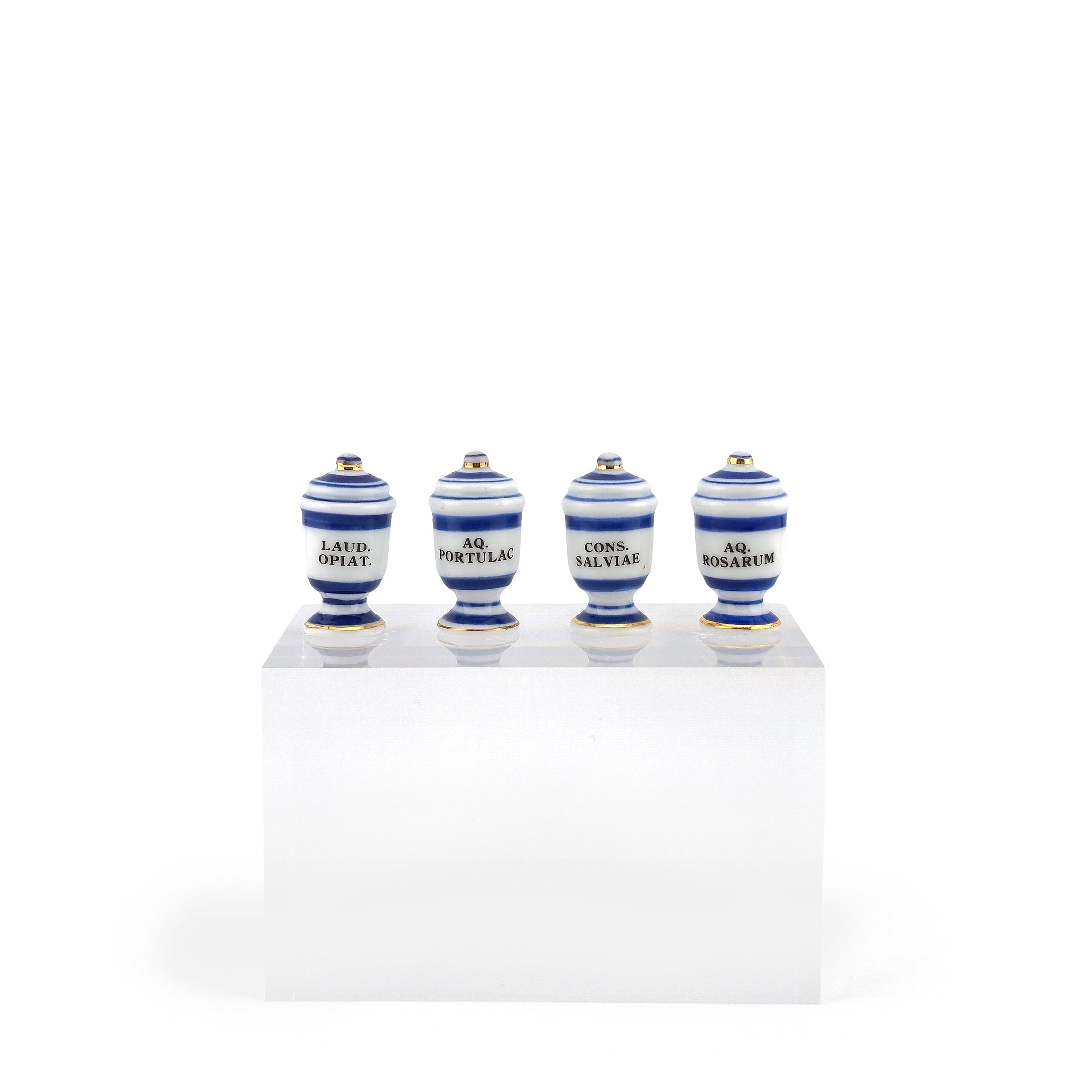 Mini Mundus Blue & White Porcelain Apothecary Jars Set of 4 Style D Group 5