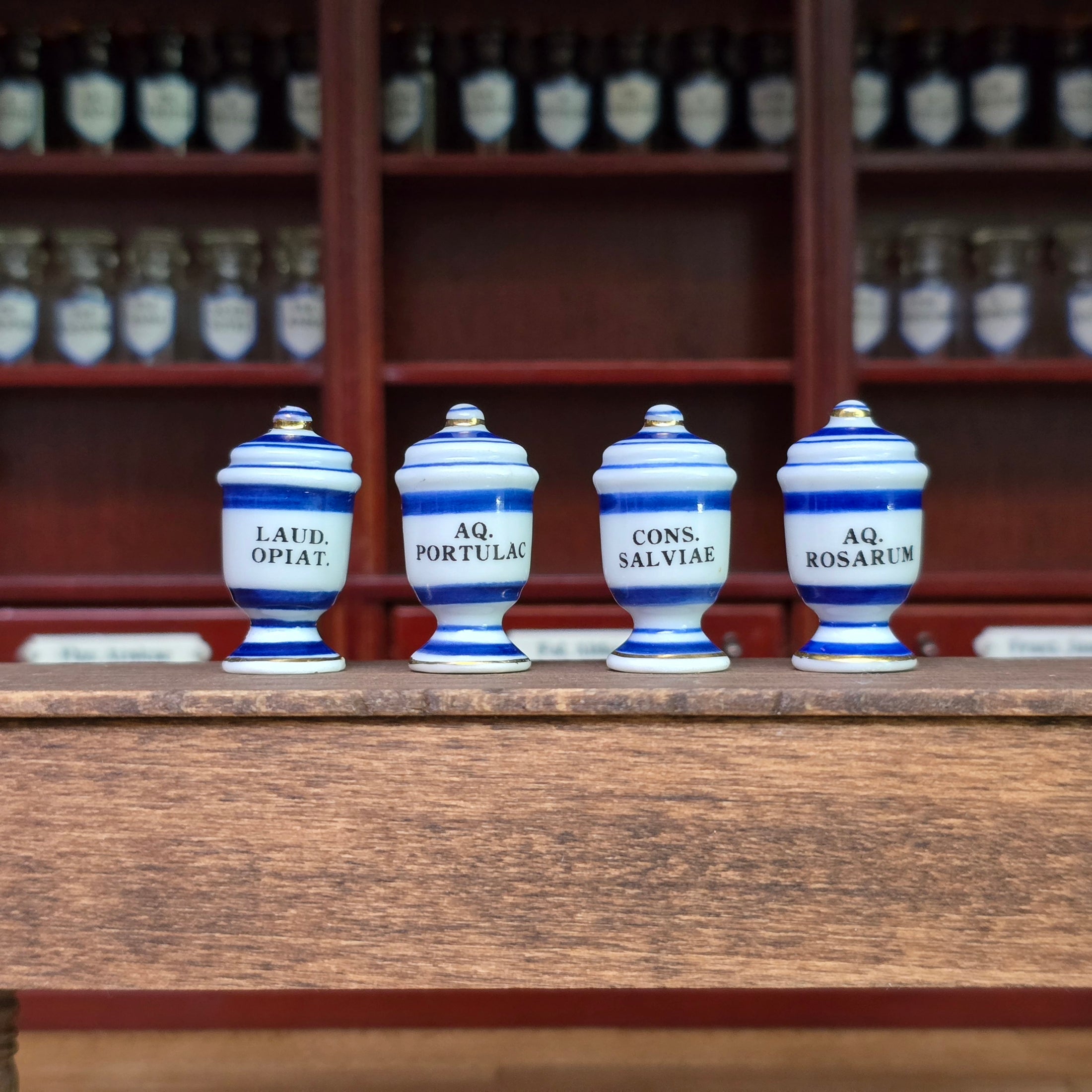Mini Mundus Blue & White Porcelain Apothecary Jars Set of 4 Style D Group 5