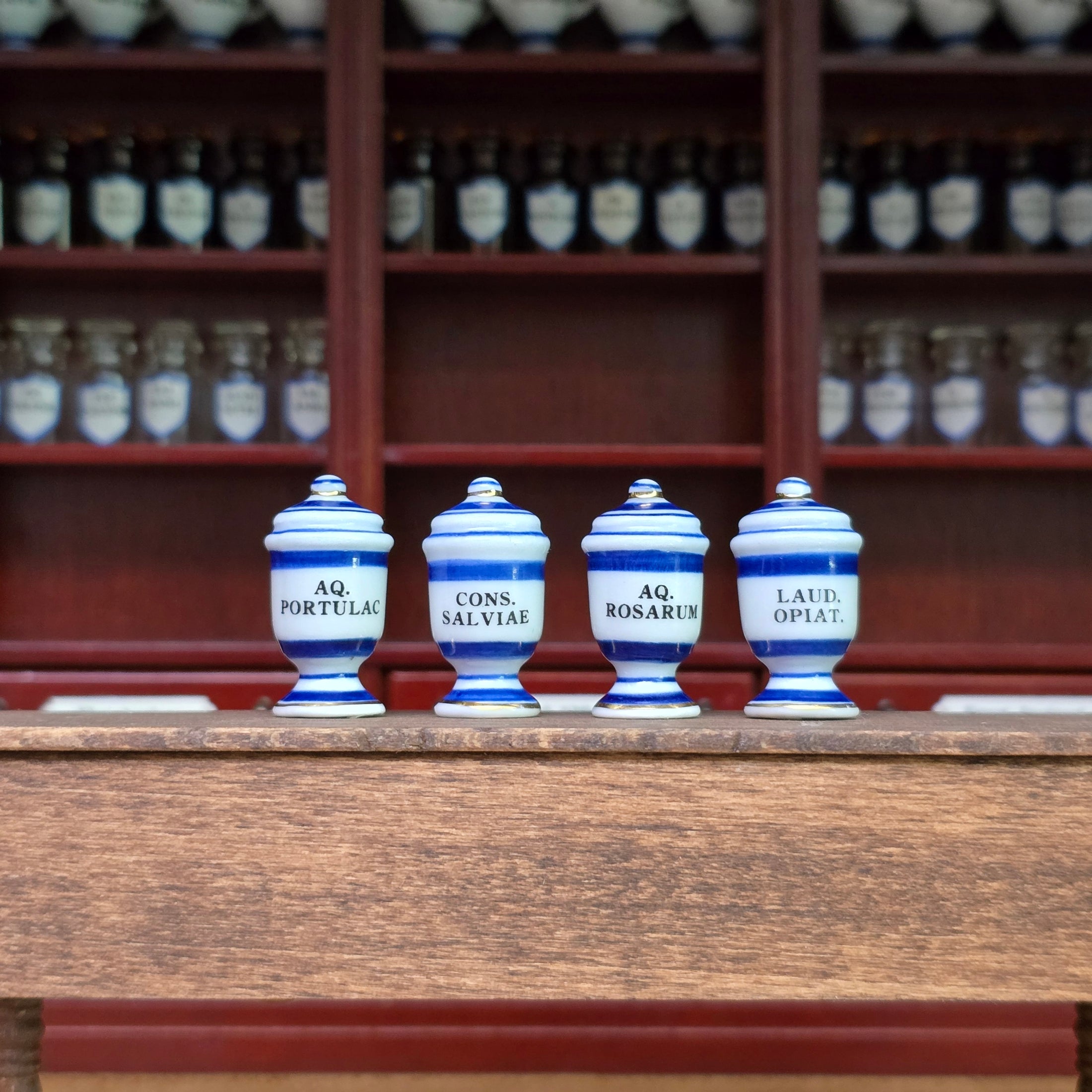 Mini Mundus Blue & White Porcelain Apothecary Jars Set of 4 Style D Group 6