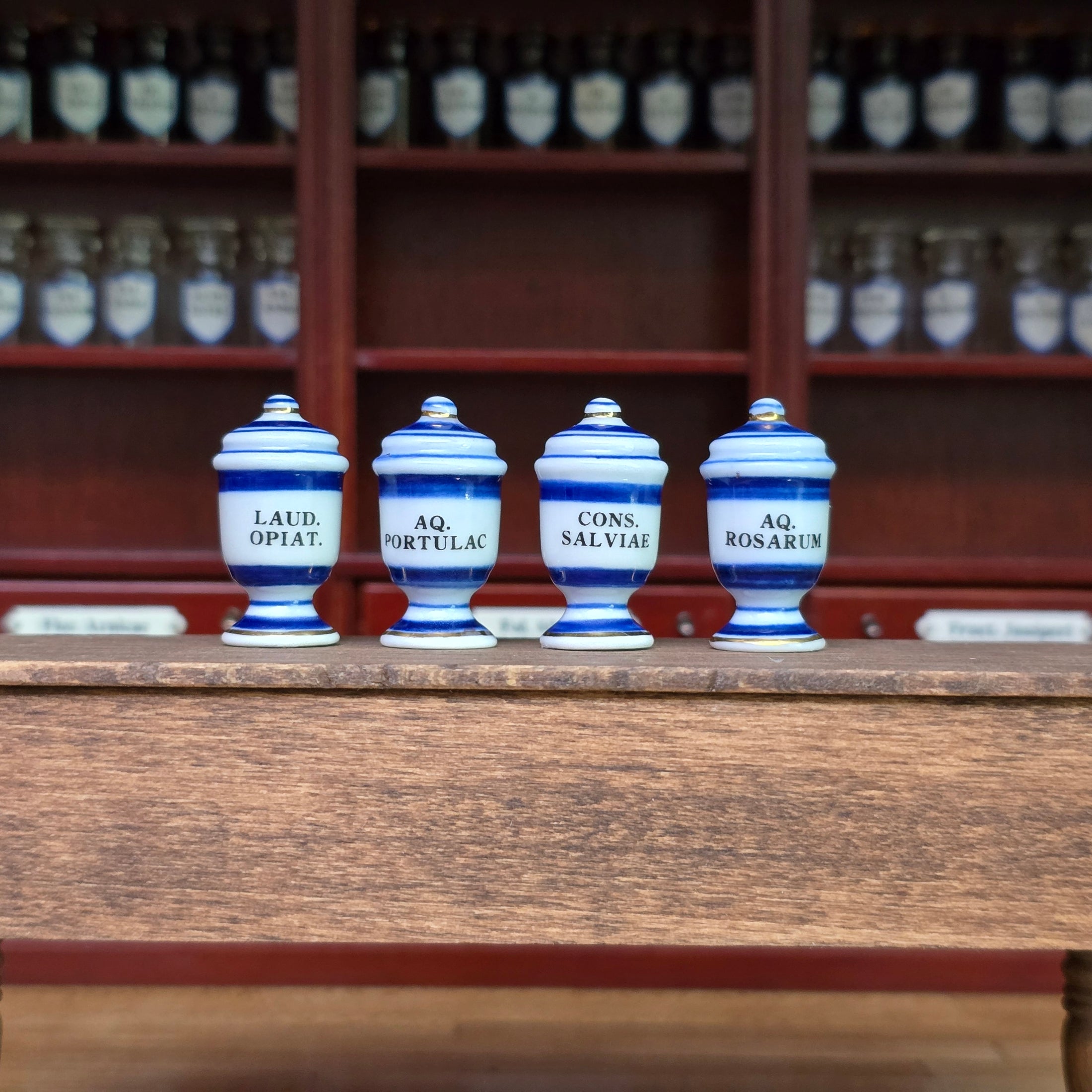 Mini Mundus Blue & White Porcelain Apothecary Jars Set of 4 Style D Group 7