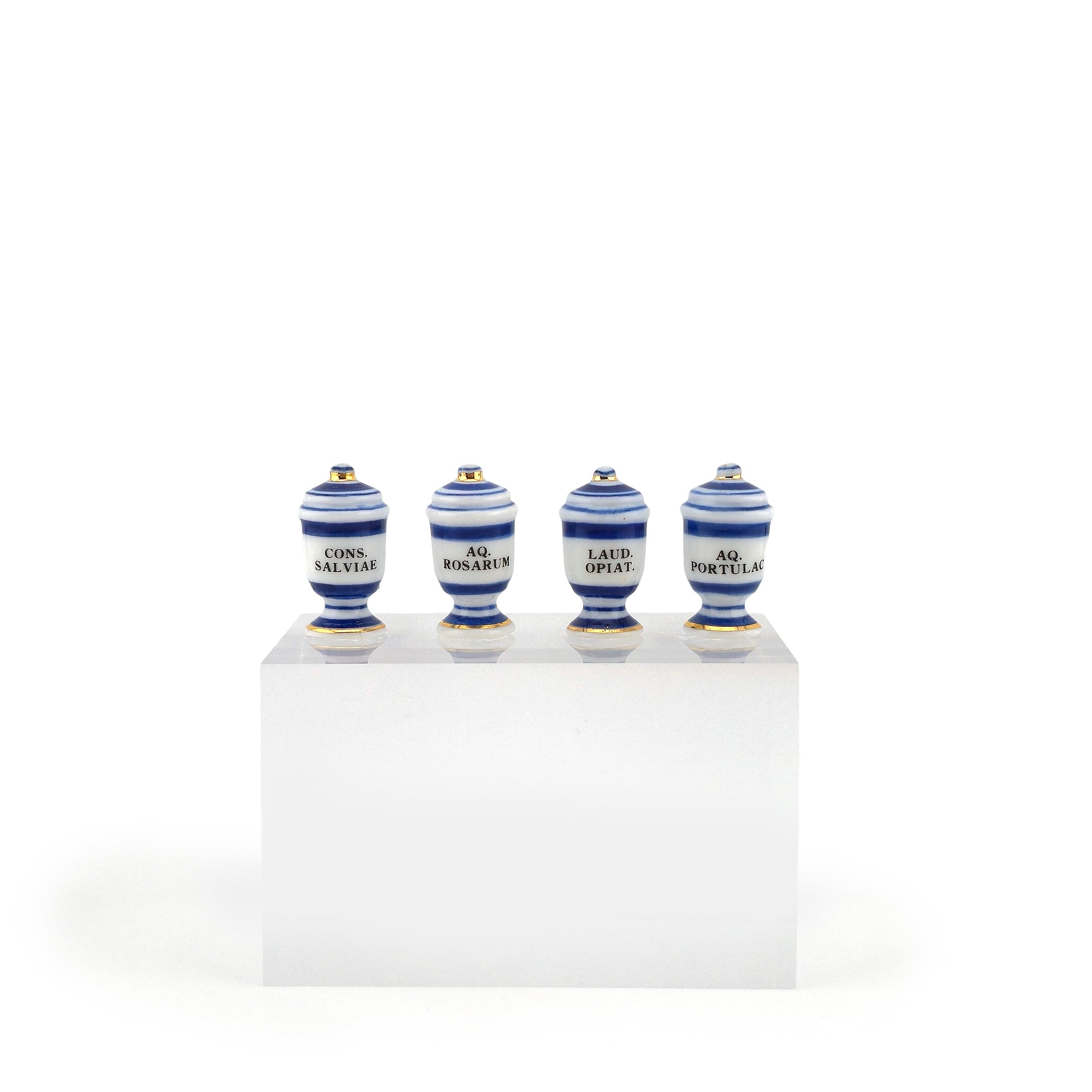 Mini Mundus Blue & White Porcelain Apothecary Jars Set of 4 Style D Group 8