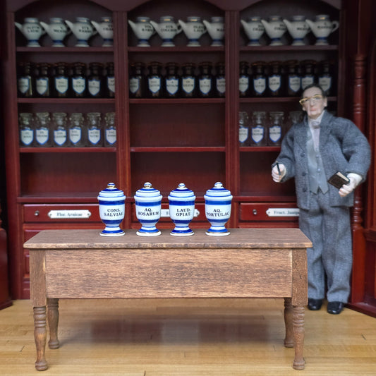 Mini Mundus Blue & White Porcelain Apothecary Jars Set of 4 Style D Group 8