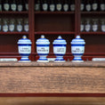 Load image into Gallery viewer, Mini Mundus Blue & White Porcelain Apothecary Jars Set of 4 Style D Group 8

