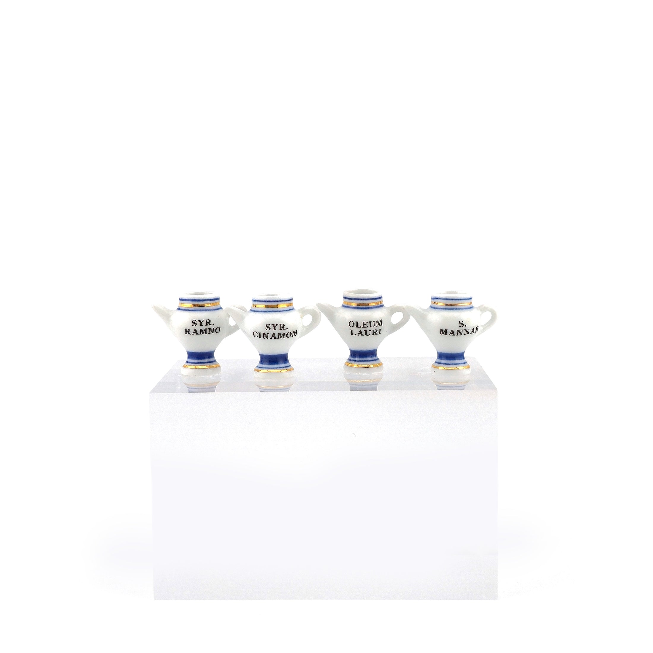 Mini Mundus Set of 4 Porcelain Apothecary Syrup Jars Style E Group 2