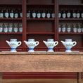 Load image into Gallery viewer, Mini Mundus Set of 4 Porcelain Apothecary Syrup Jars Style E Group 2
