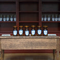 Load image into Gallery viewer, Mini Mundus Set of 6 Amber Glass Apothecary Bottles Style F Group 5
