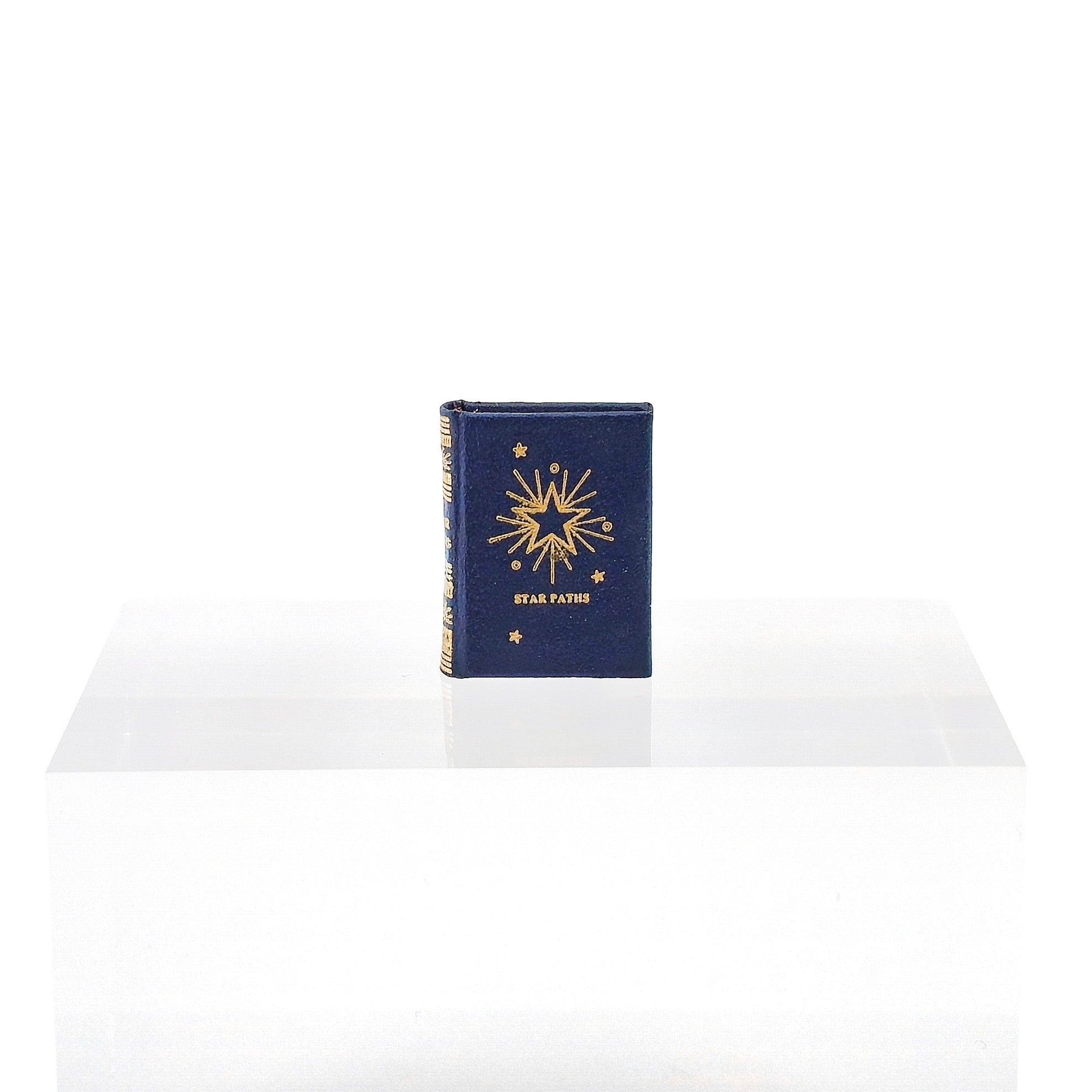 Barbara Raheb “Star Paths” Astrology Miniature 1979 Readable Micro Book