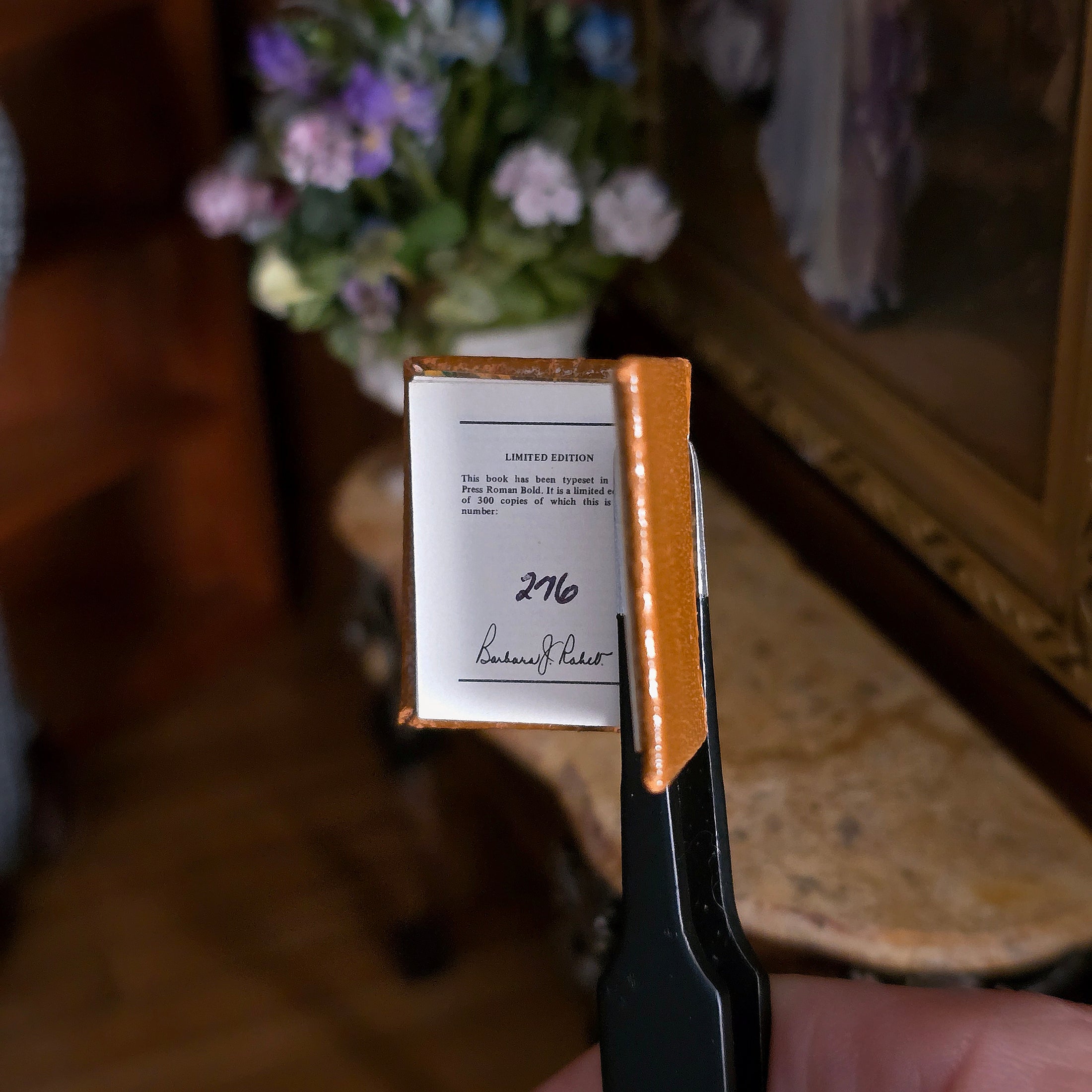 Barbara Raheb "David Copperfield" Readable Micro Miniature Book
