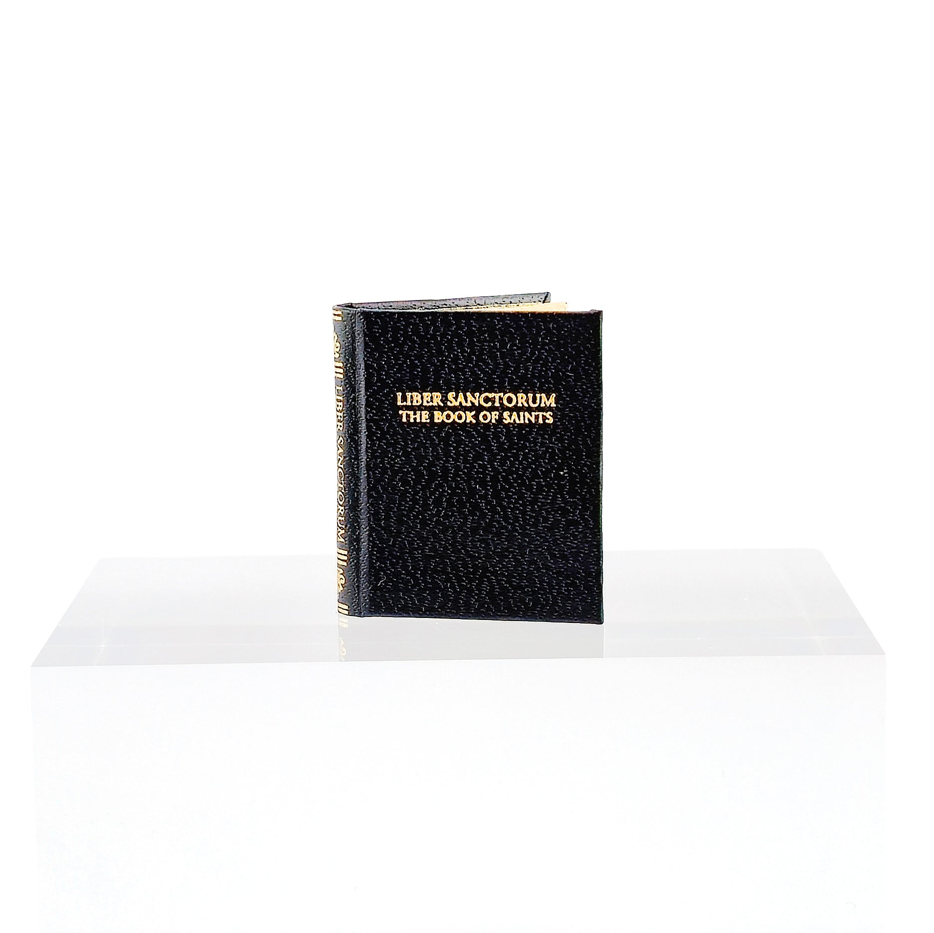 EXTREMELY RARE Barbara Raheb "Liber Sanctorum: The Book of Saints" Miniature Book