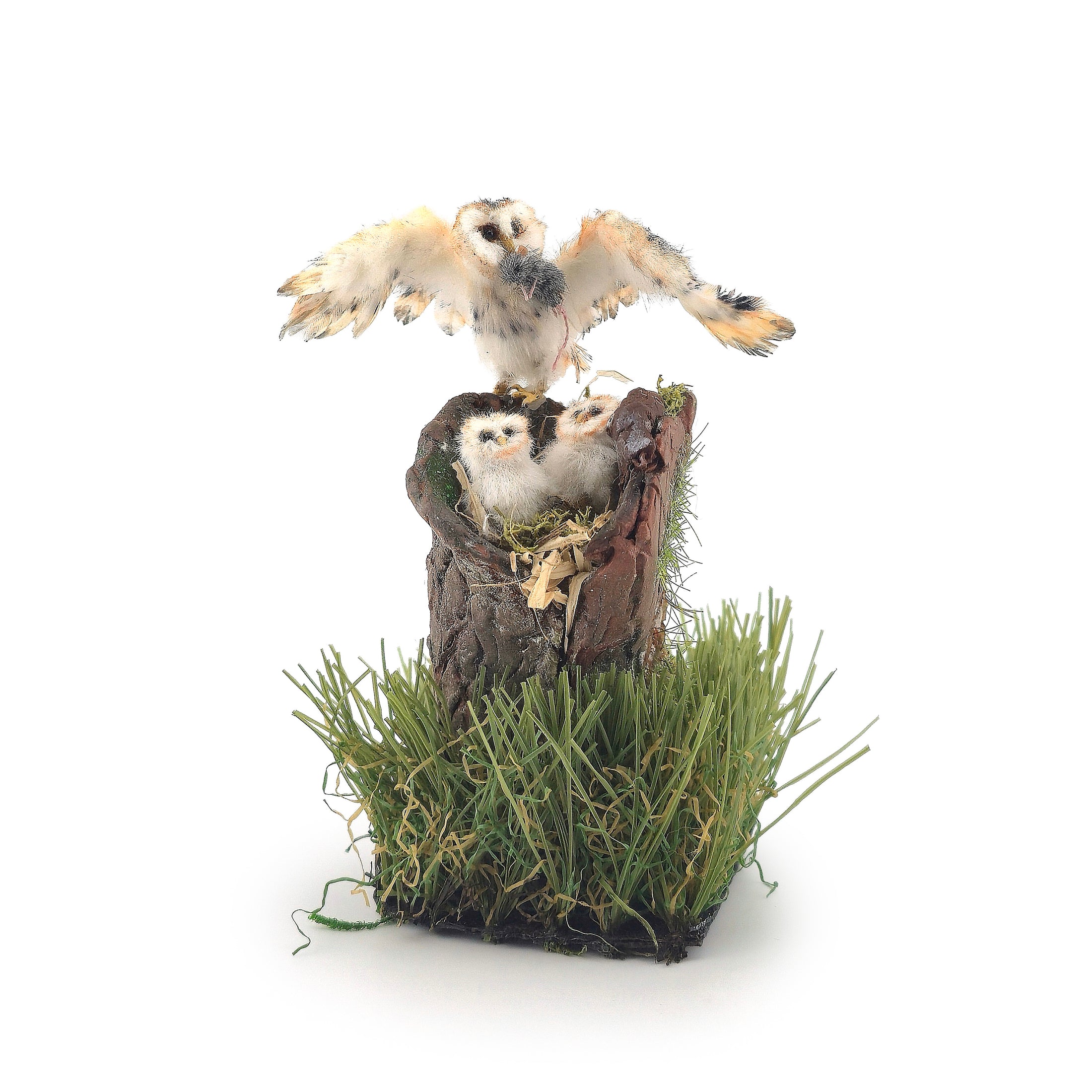 Tigrorso Barn Owl Family Tree Stump Vignette OOAK 1:12 Scale Dollhouse Miniature