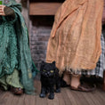 Load image into Gallery viewer, Complete Hocus Pocus Miniature Doll Set by Silke Janas-Schloesser
