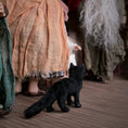 Load image into Gallery viewer, Complete Hocus Pocus Miniature Doll Set by Silke Janas-Schloesser
