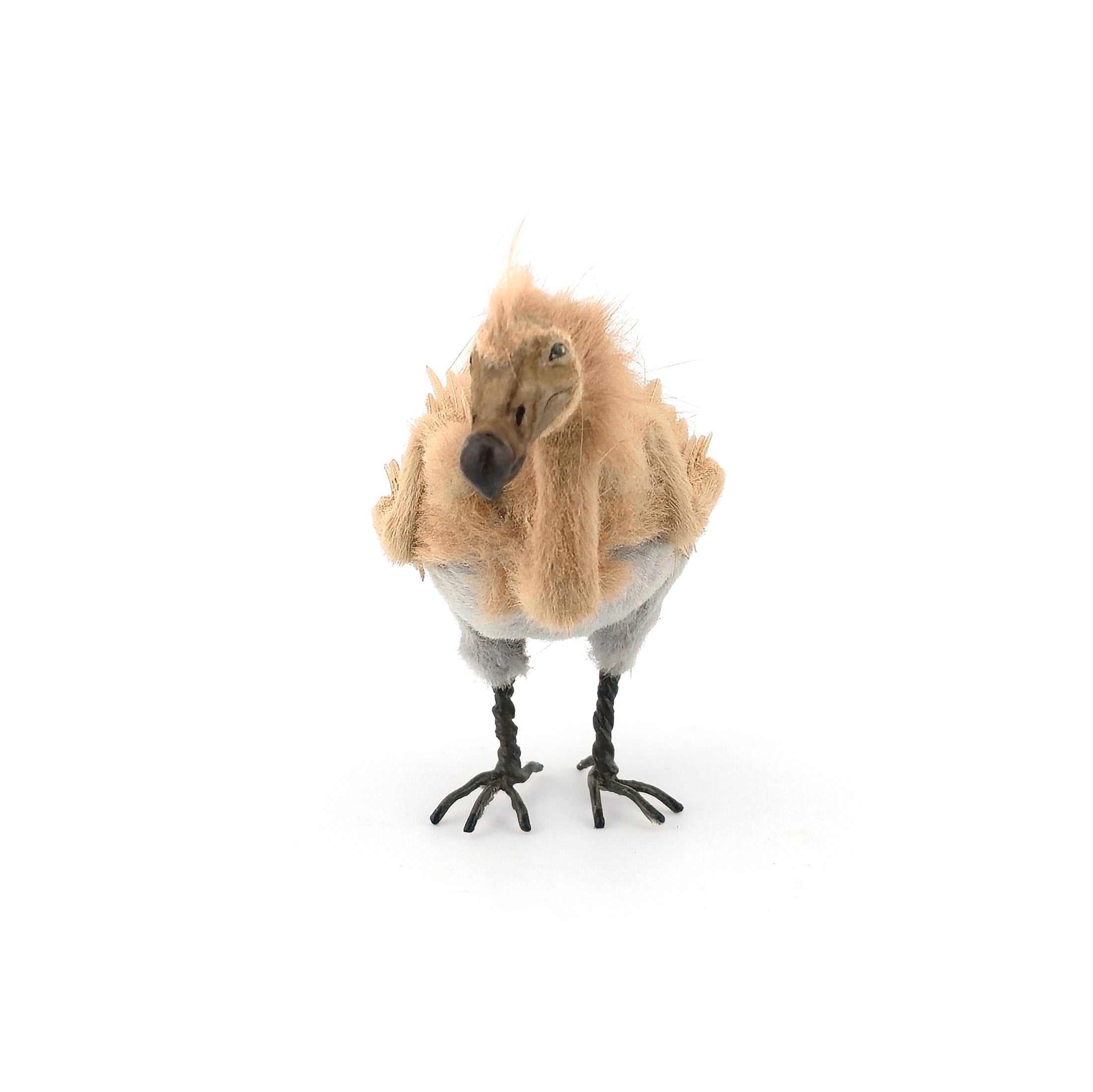 Rare Realistic Dodo Bird Artisan Dollhouse Miniature in Wool, Feathers & Clay