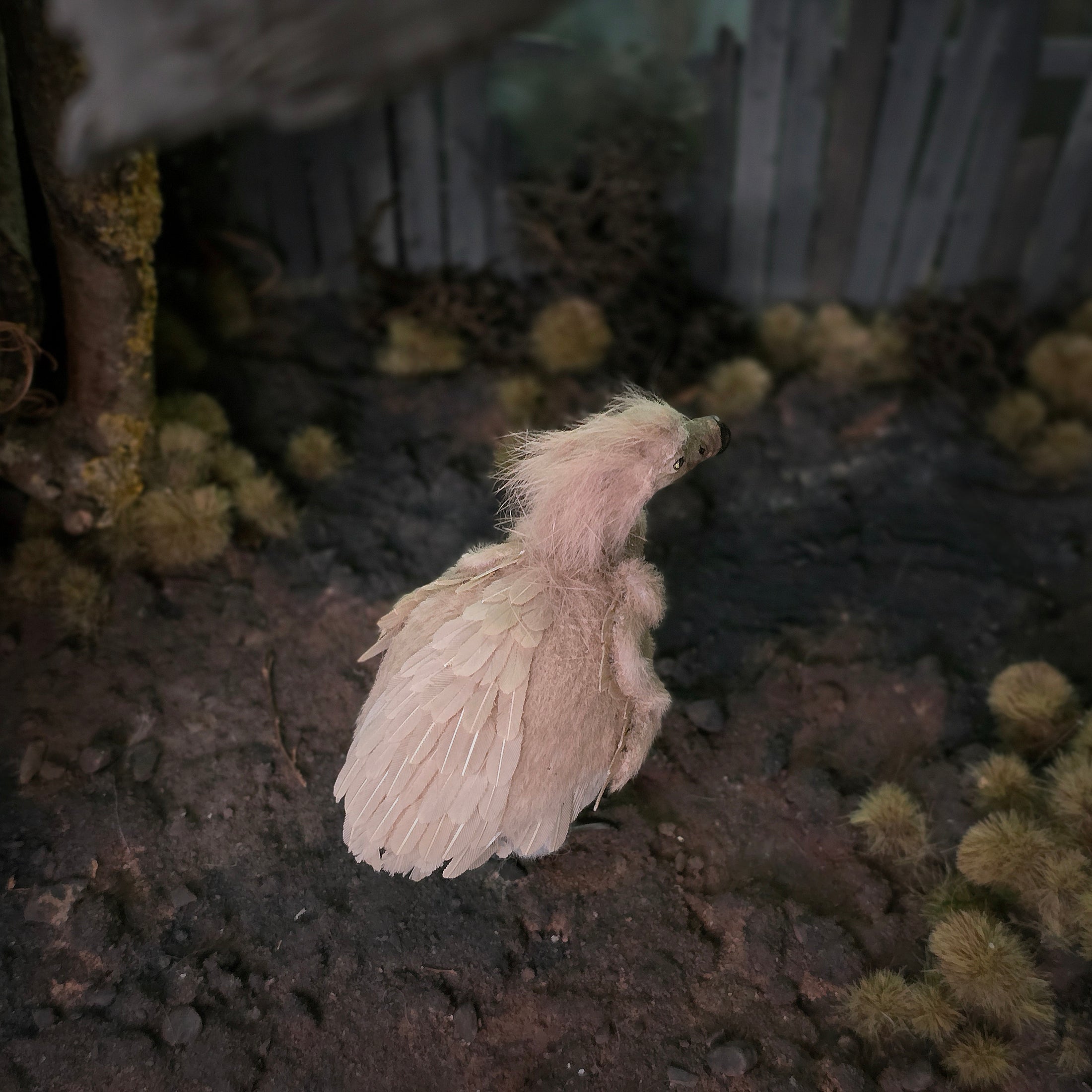 Rare Realistic Dodo Bird Artisan Dollhouse Miniature in Wool, Feathers & Clay