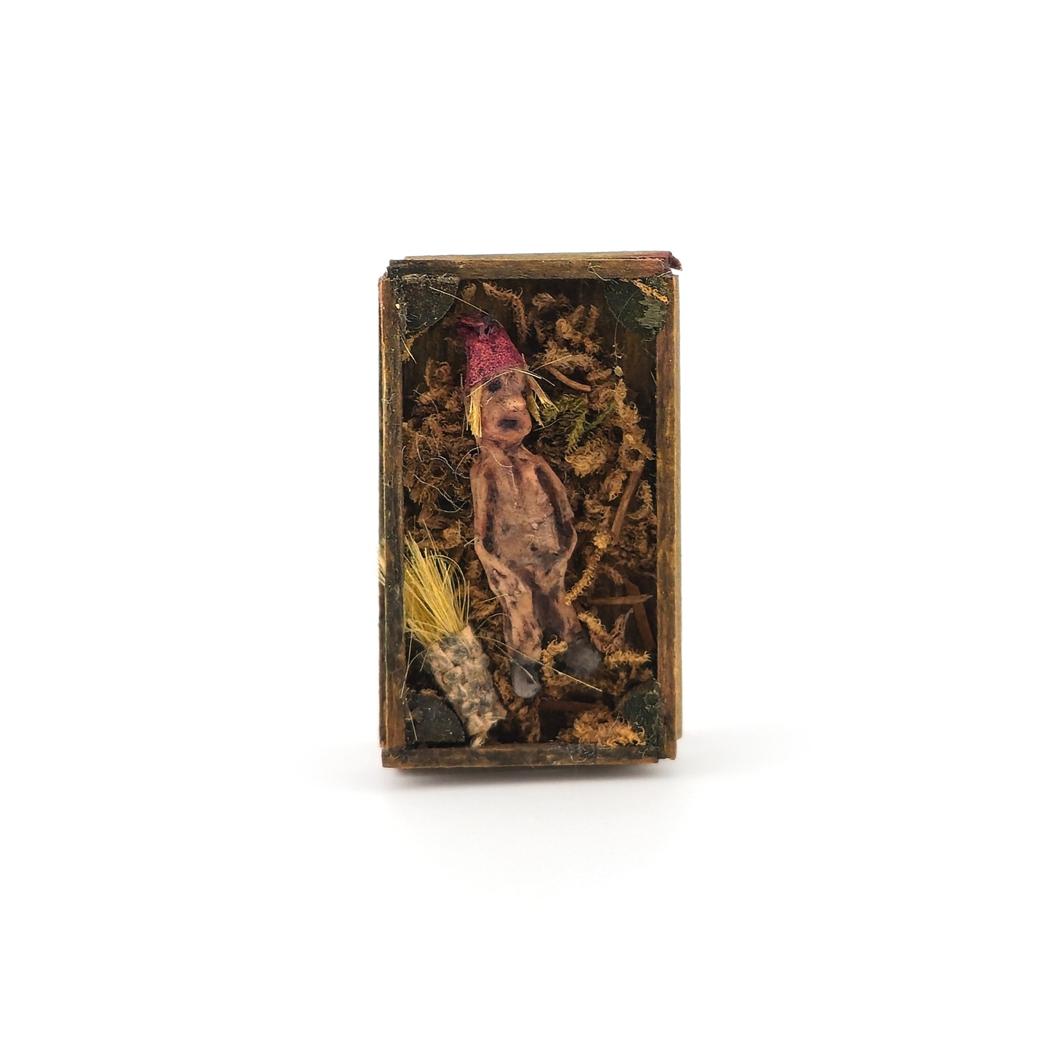 Mysterious Dead Elf or Garden Gnome in Wooden Specimen Box