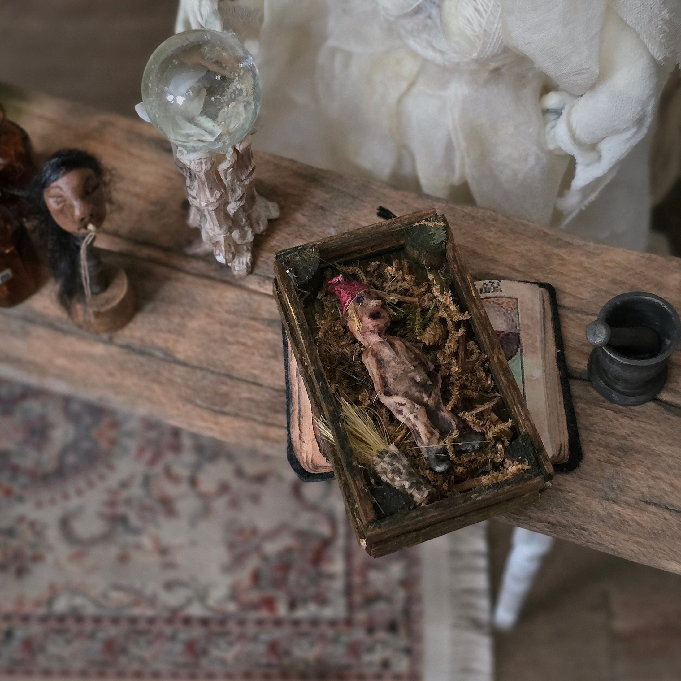 Mysterious Dead Elf or Garden Gnome in Wooden Specimen Box