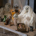 Load image into Gallery viewer, Mysterious Dead Elf or Garden Gnome in Wooden Specimen Box
