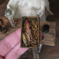 Load image into Gallery viewer, Mysterious Dead Elf or Garden Gnome in Wooden Specimen Box
