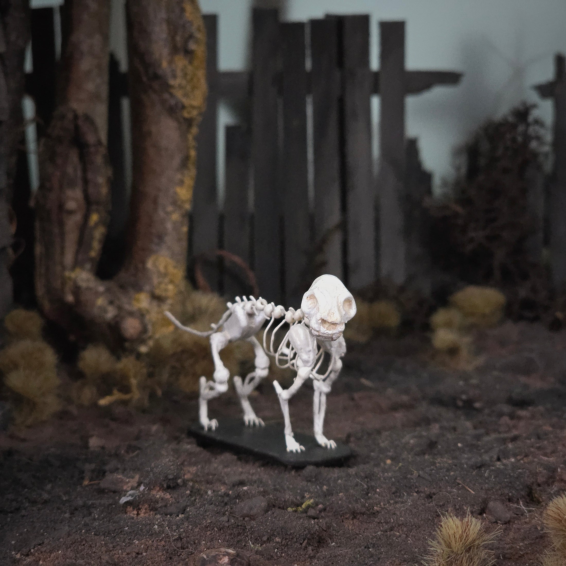 Koni Coursien & Teresa Dudley Hand-Sculpted Spooky Cat Skeleton