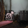 Load image into Gallery viewer, Koni Coursien & Teresa Dudley Hand-Sculpted Spooky Cat Skeleton
