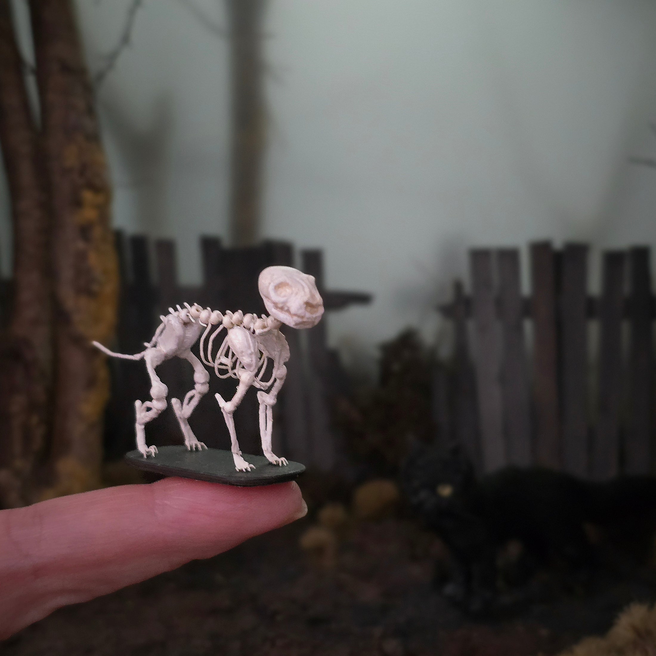 Koni Coursien & Teresa Dudley Hand-Sculpted Spooky Cat Skeleton