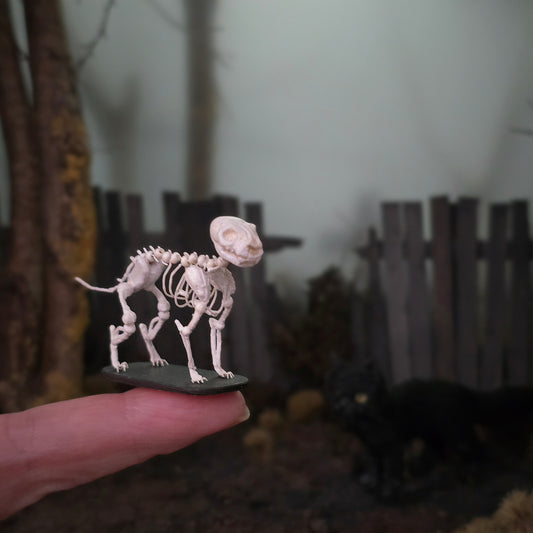 Koni Coursien & Teresa Dudley Hand-Sculpted Spooky Cat Skeleton
