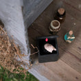 Load image into Gallery viewer, Home Sweet Home Disembodied Hand in Miniature Black Box
