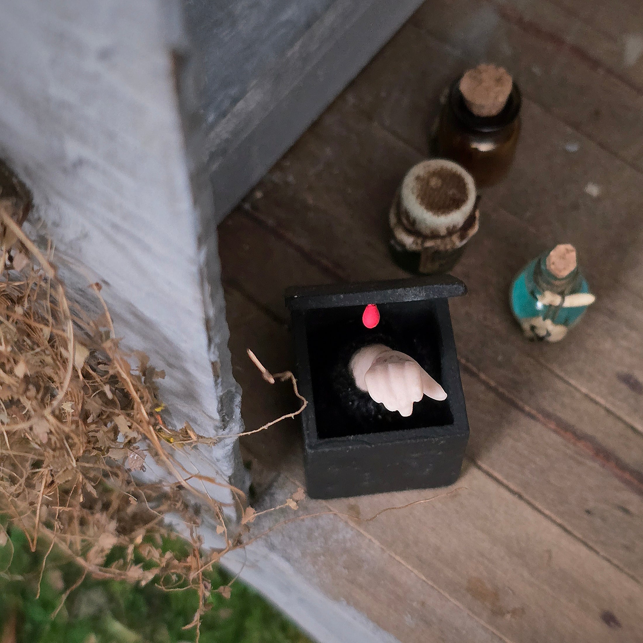 Home Sweet Home Disembodied Hand in Miniature Black Box