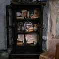 Load image into Gallery viewer, A gothic-style black wooden cabinet with a glass door, filled with occult props including a Ouija board, crystal ball, tarot cards, an eye-of-providence card, and scrolls, set against a textured gray wall.
