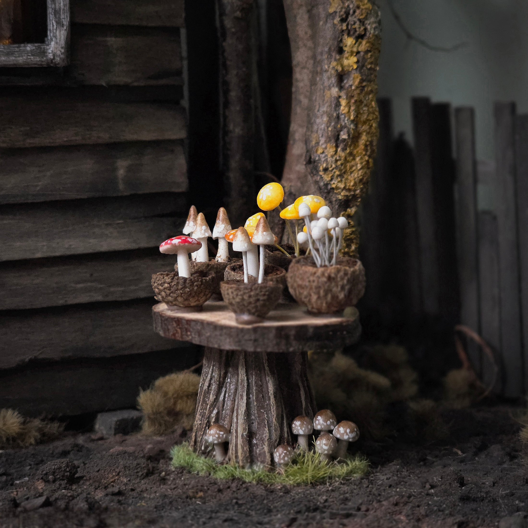 Loredana Tonetti Fall Mushroom Table Fall Halloween Fairy Garden