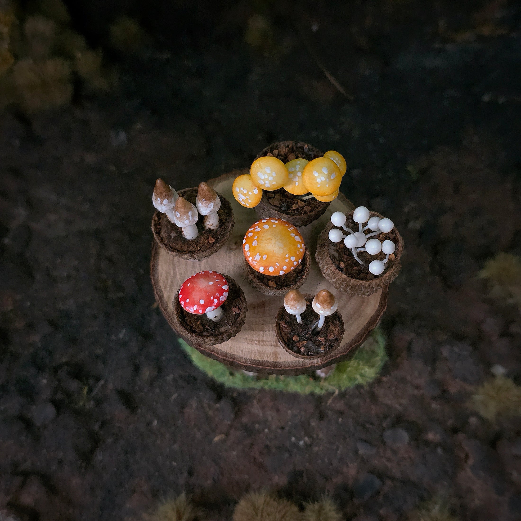 Loredana Tonetti Fall Mushroom Table Fall Halloween Fairy Garden