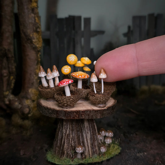 Loredana Tonetti Fall Mushroom Table Fall Halloween Fairy Garden