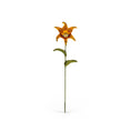 Load image into Gallery viewer, Georgia Marfels Orange Tiger Lily Cat Flower with Orange Eyes
