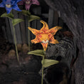 Load image into Gallery viewer, Georgia Marfels Orange Tiger Lily Cat Flower with Orange Eyes
