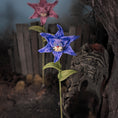 Load image into Gallery viewer, Georgia Marfels Blue Tiger Lily Cat Flower Stem with Blue Eyes

