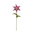Load image into Gallery viewer, Georgia Marfels Purple-Pink Tiger Lily Cat Flower with Blue Eyes
