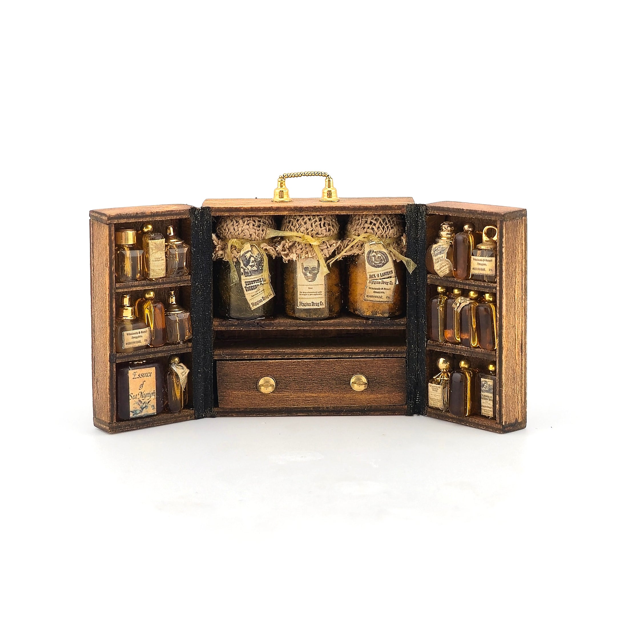 Kim Murdock Doctor’s Traveling Embalming Kit Cabinet Miniature