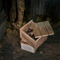 Load image into Gallery viewer, Box of Embalming Fluid Bottles Dollhouse Miniature
